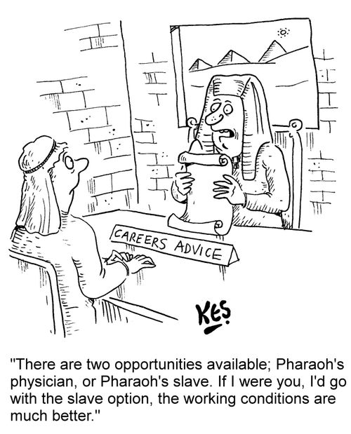 "There are two opportunities available; Pharaoh's physician, or Pharaoh's slave. If I were you, I'd go with the slave option, the working conditions are much better."