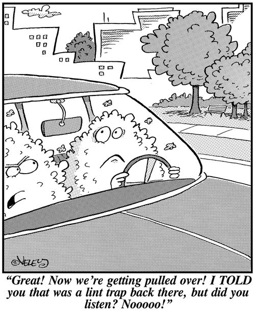 'Great! Now we're getting pulled over! I TOLD you that was a lint trap back there, but did you listen? Noooo!'