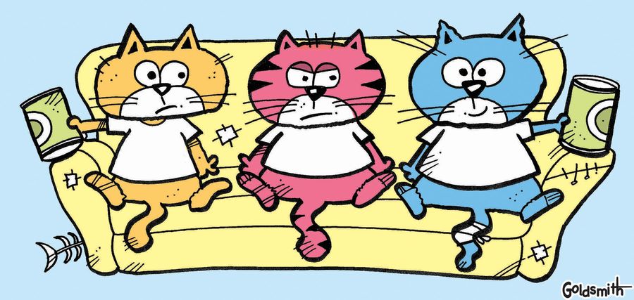Cats on the couch.