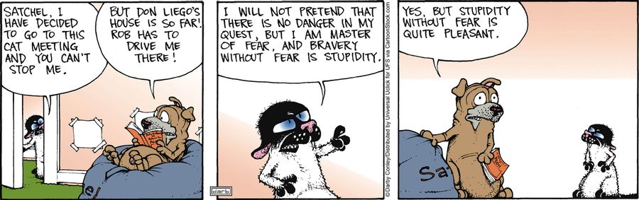 'Yes but stupidity without fear is quite pleasant.'