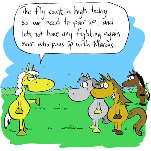"The fly count is high today so we need to pair up, and lets not have any fighting again over who pairs up with Marcus..."