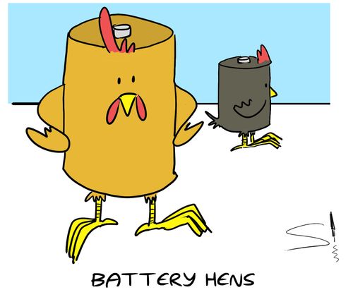 Battery Hens.