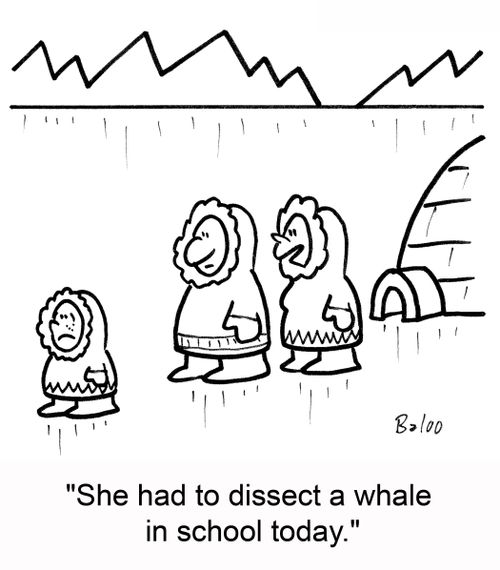 'She had to dissect a whale in school today.'