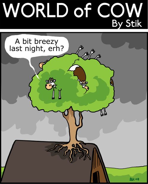 'A bit breezy last night, erh?'