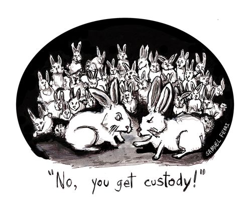 Rabbit Divorces: 'No you get custody.'