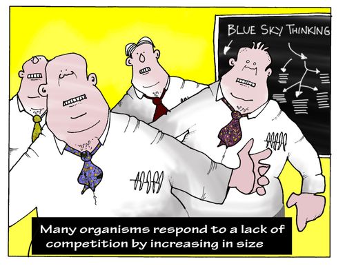 Many Organisms Respond to a Lack of Competition by Increasing in Size.
