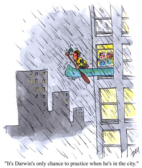 'It's Darwin's only chance to practice when he's in the city.'