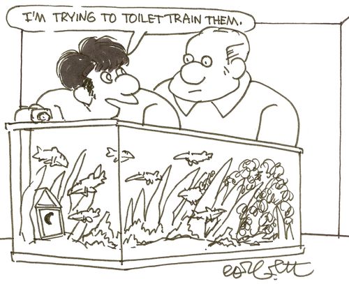 'I'm trying to toilet train them.'