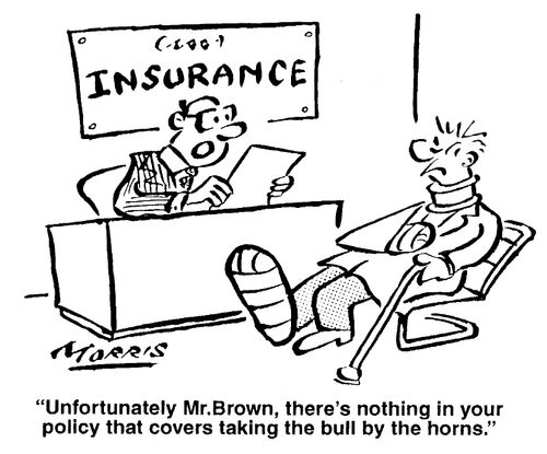Unfortunately Mr. Brown, there's nothing in your policy that covers taking the bull by the horns.