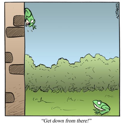 'Get down from there!'