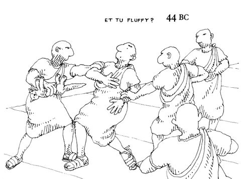 Uses of a Death Cat in History: Et tu Fluffy?