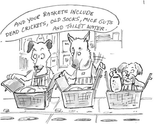 "And your baskets include dead crickets, old socks, mice guts and toilet water."