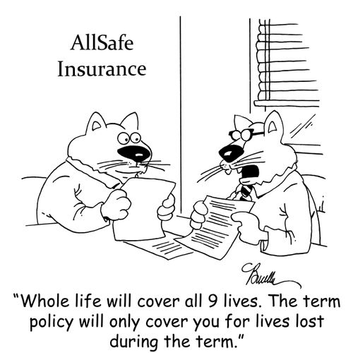 'Whole life will cover all 9 lives. The term policy will only cover you for lives lost during the term.'