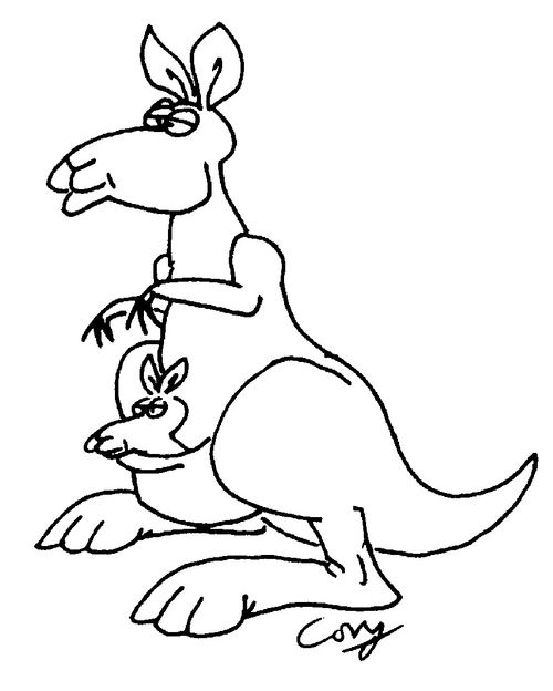 Kangeroo and joey