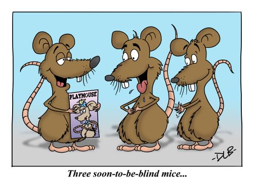 (To replace dbtn89) Three soon-to-be-blind mice...