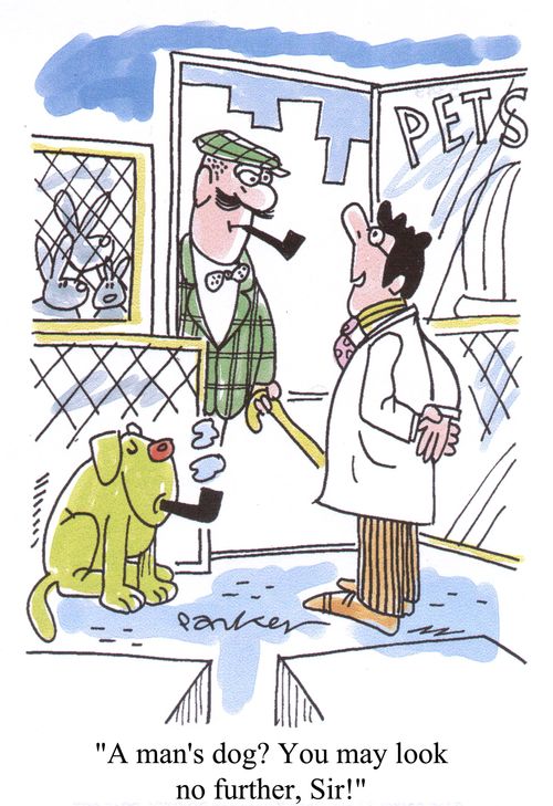 'A man's dog? You may look no further, Sir!'