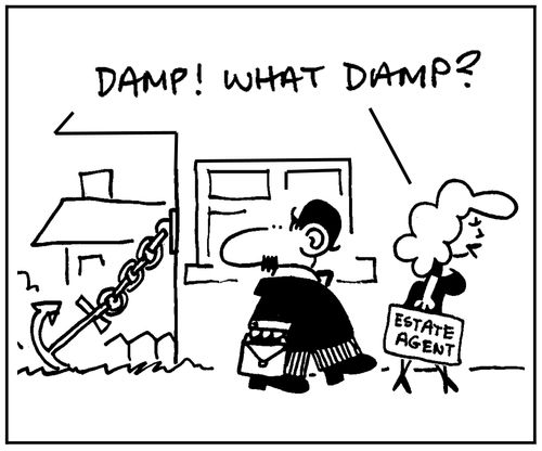 'Damp. What damp?'