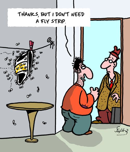 "Thanks, but I don't need a fly strip."