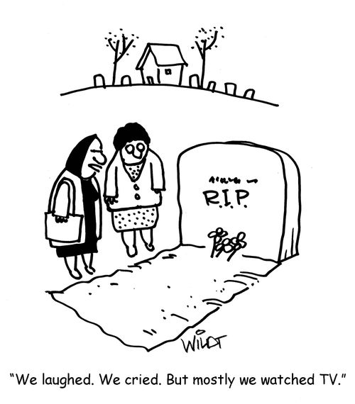 "We laughed. We cried. But mostly we watched TV."