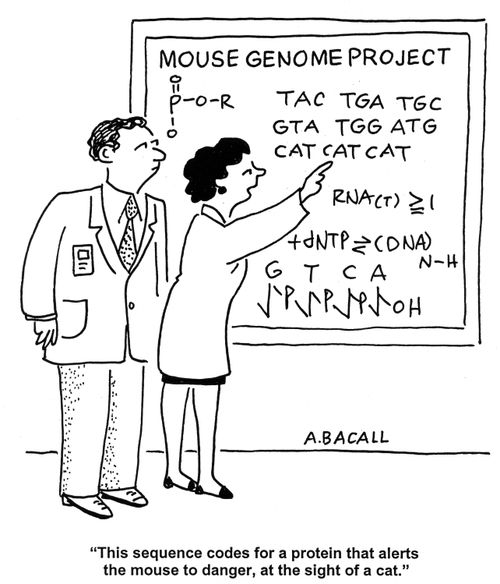 Mathematical sequence