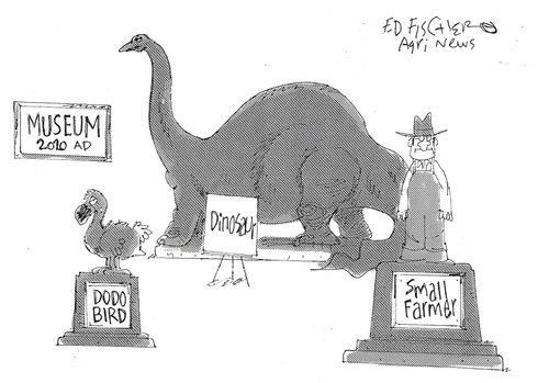 A museum displays small farmers with the dodo and dinosaurs.
