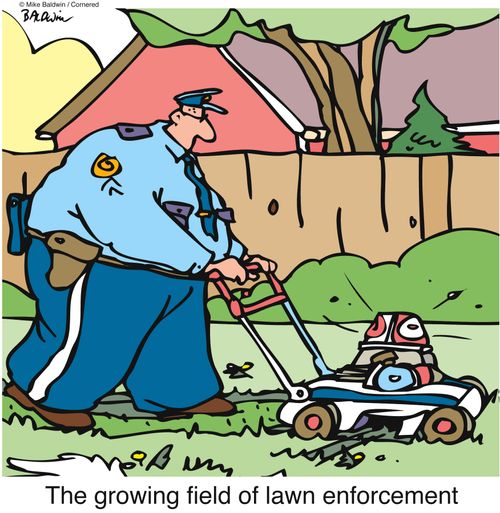 'The growing field of lawn enforcement'.