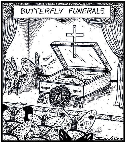 Butterfly Funerals 