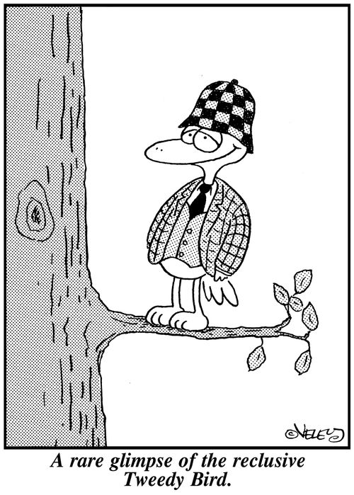 A rare glimpse of the reclusive Tweedy Bird.