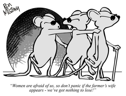 "Women are afraid of us, so don't panic if the farmer's wife appears - we've got nothing to lose!"