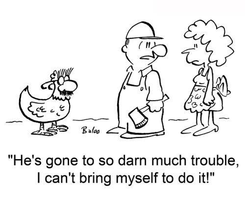 'He's gone to so darn much trouble, I can't bring myself to do it!'