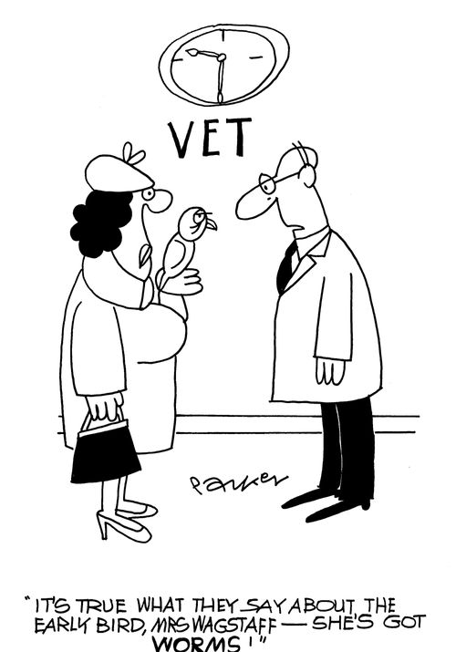 'It's true what they say about the early bird,Mrs.Wagstaff-she's got worms!'