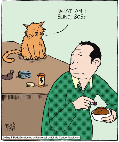 'What am I blind, Bob?'