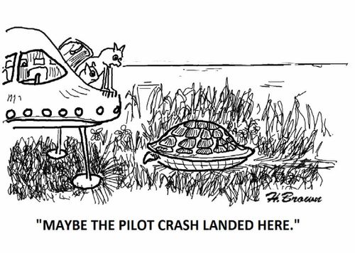 'Maybe the pilot crash landed here.'