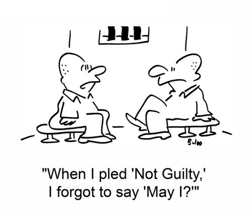 'When I pled 'Not Guilty,' I forgot to say 'May I?''