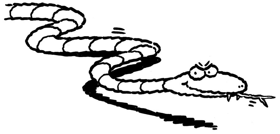Snake.