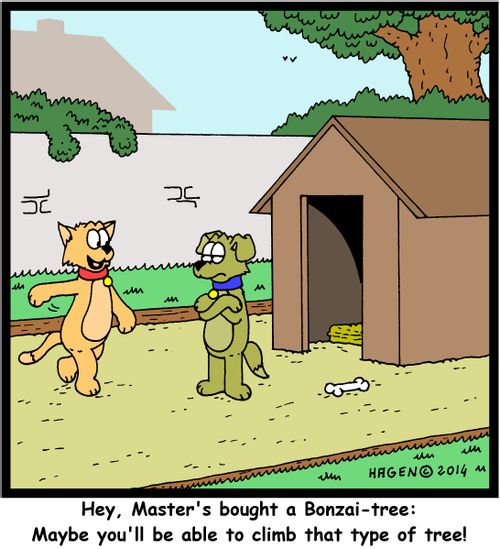 'Hey, Master's bought a Bonzai-tree: Maybe you'll be able to climb that type of tree!'