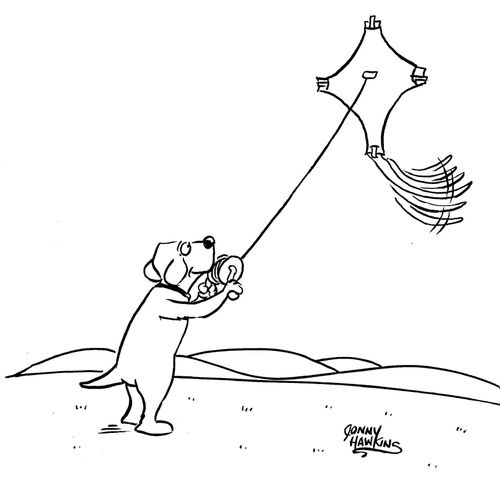 Dog's kite's tail is wagging.