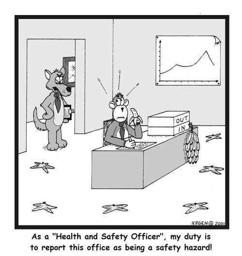 "As a Health and Safety Officer, my duty is to report this office as being a safety hazard!"
