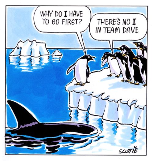 'Why do I have to go first?' 'There's no I in team, Dave.'