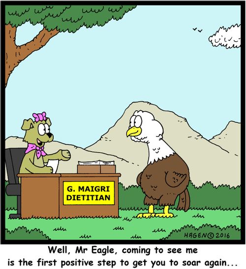 "Well, Mr Eagle, coming to see me is the first positive step to get you to soar again..."