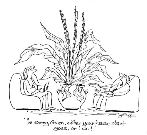 'I'm sorry Gwen, either your house plant goes, or I do!'