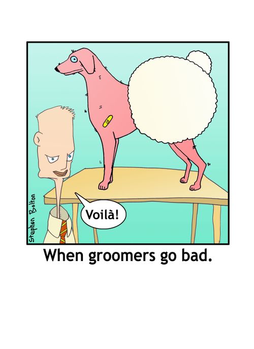 When groomers go bad.