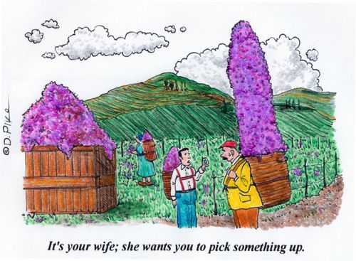 'It's your wife; she wants you to pick something up.'
