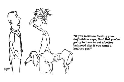 'If you insist on feeding your dog table scraps, fine...'