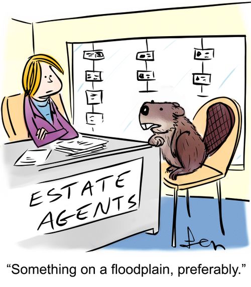 'Something on a floodplain, preferably.'