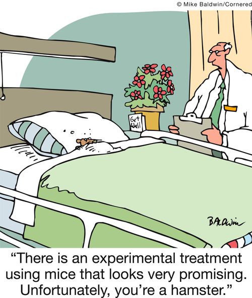 'There is an experimental treatment using mice that looks very promising. Unfortunately, you're a hamster.'