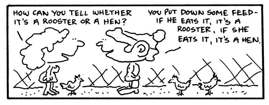 "How can you tell whether it's a rooster or a hen?"