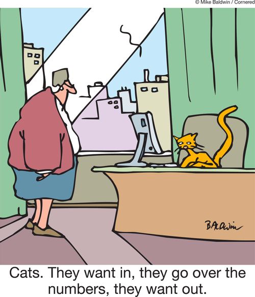 'Cats. They want in, they go over the numbers, they want out.'