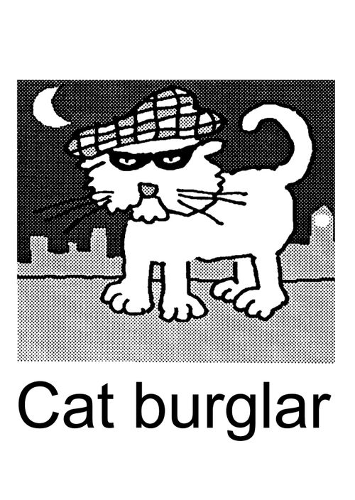 Cat burglar.