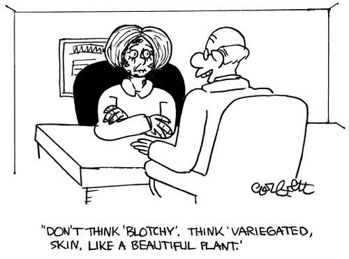'Don't think 'blotchy'.  Think variegated skin, like a beautiful plant.'